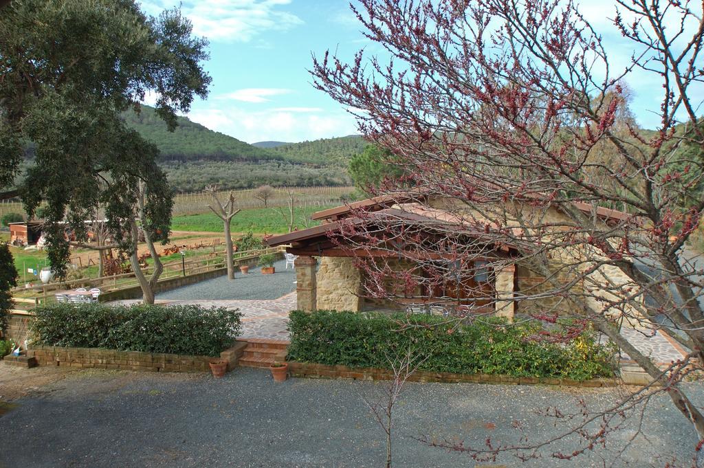 Agriturismo Val Di Nappo Кастильоне дела Пеская Екстериор снимка